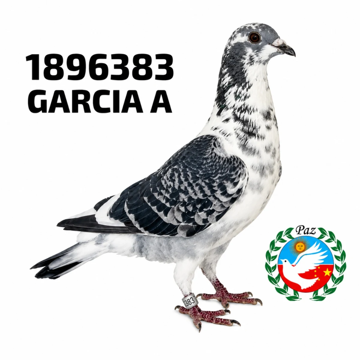1896383-25 FCA