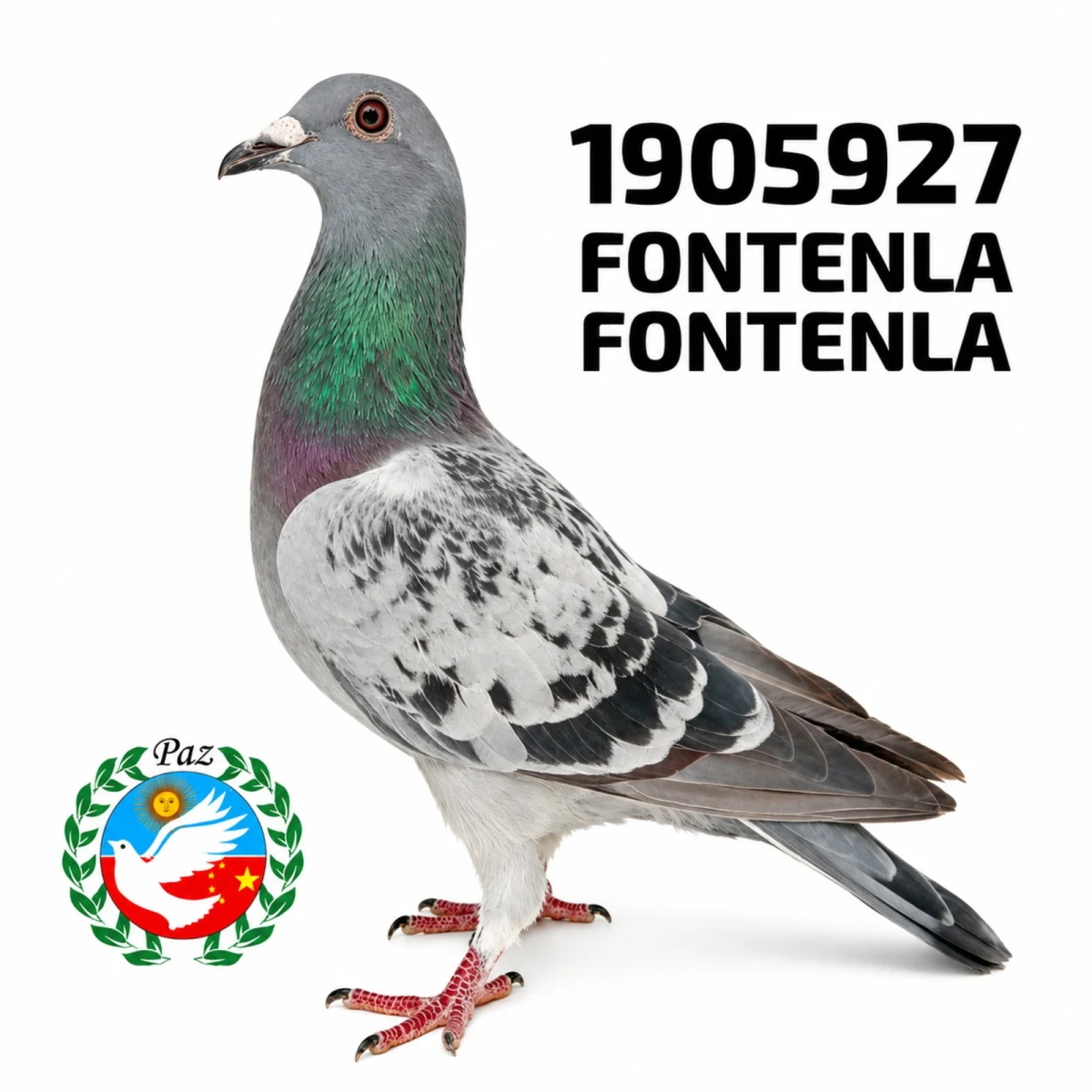 1905927-25 FCA
