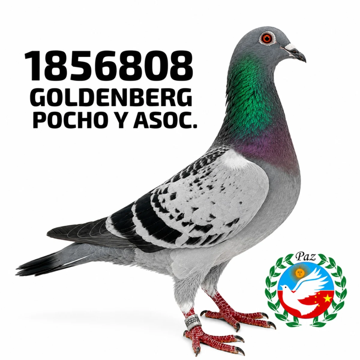1856808-25 FCA