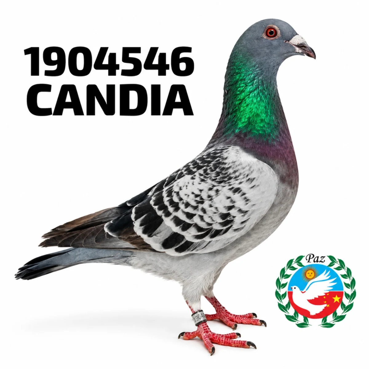 1904546-25 FCA