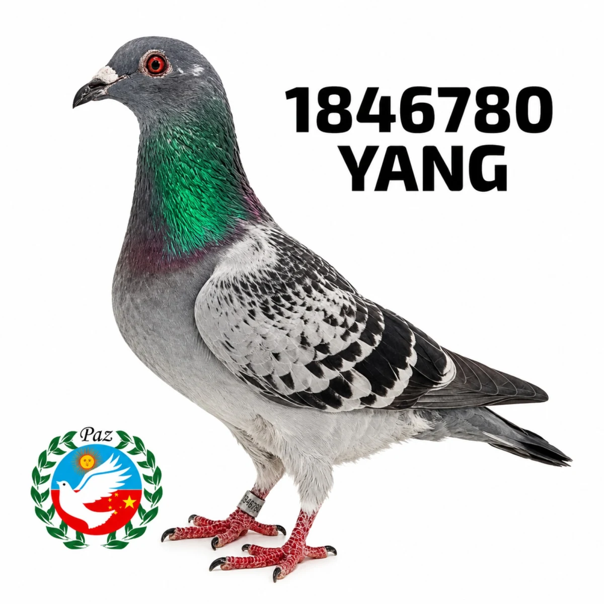 1846780-25 FCA
