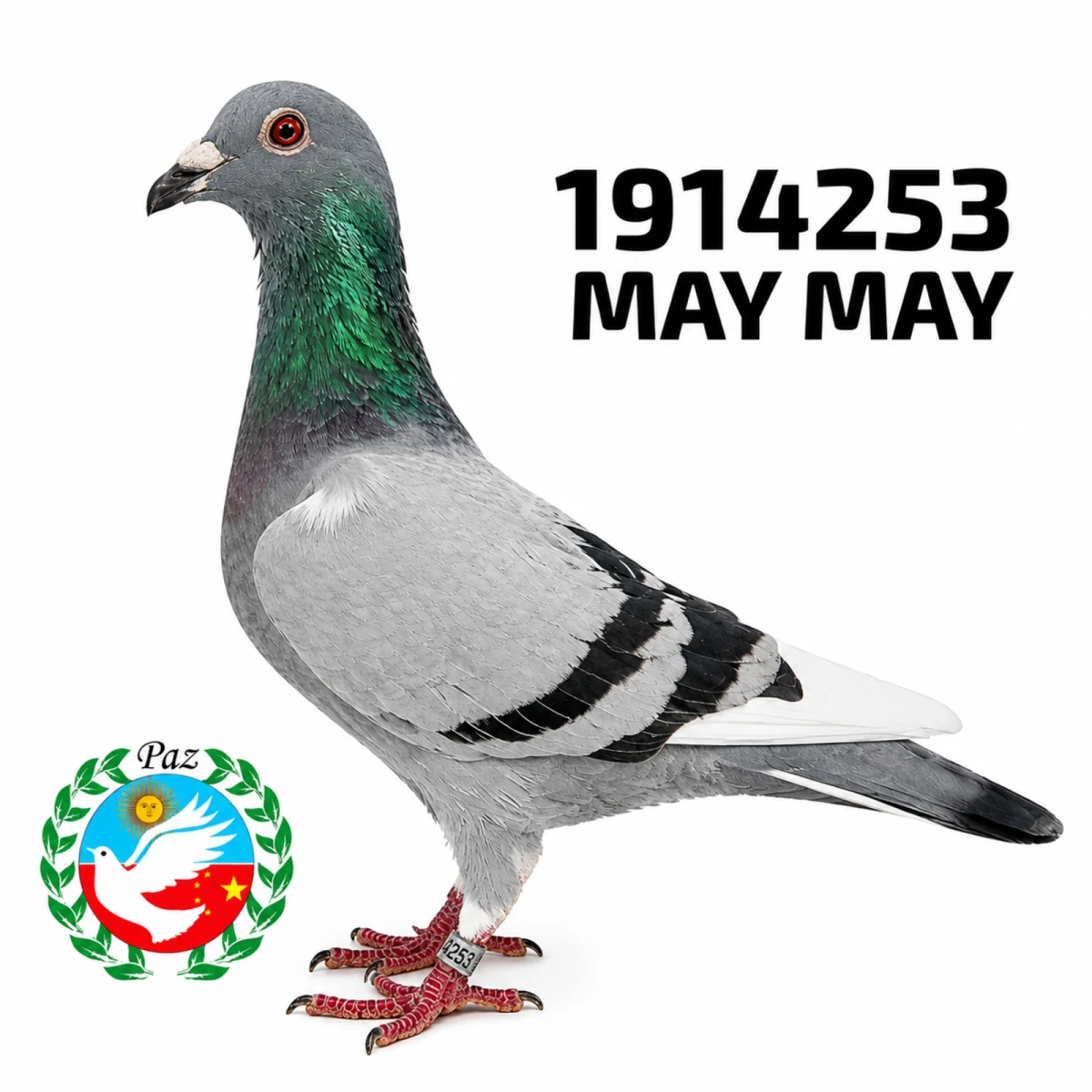 1914253-25 FCA