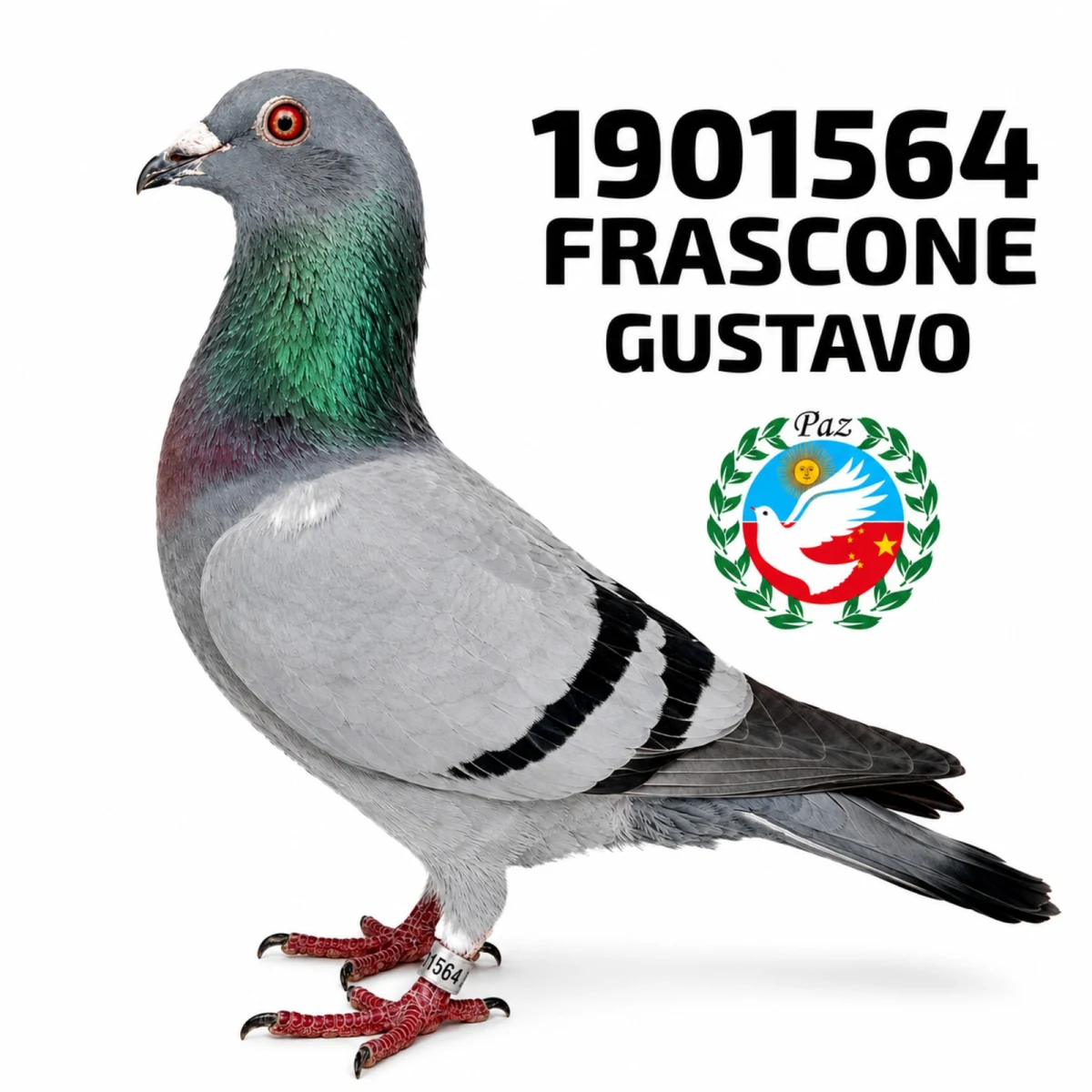 1901564-25 FCA