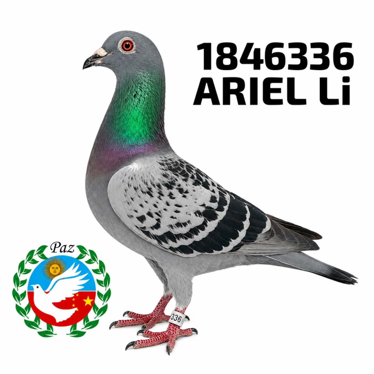 1846336-25 FCA