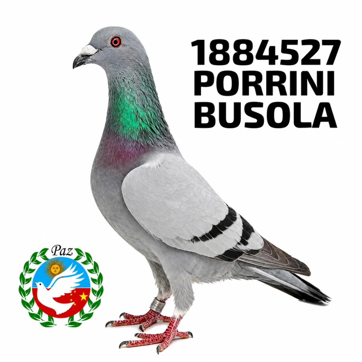 1884527-25 FCA