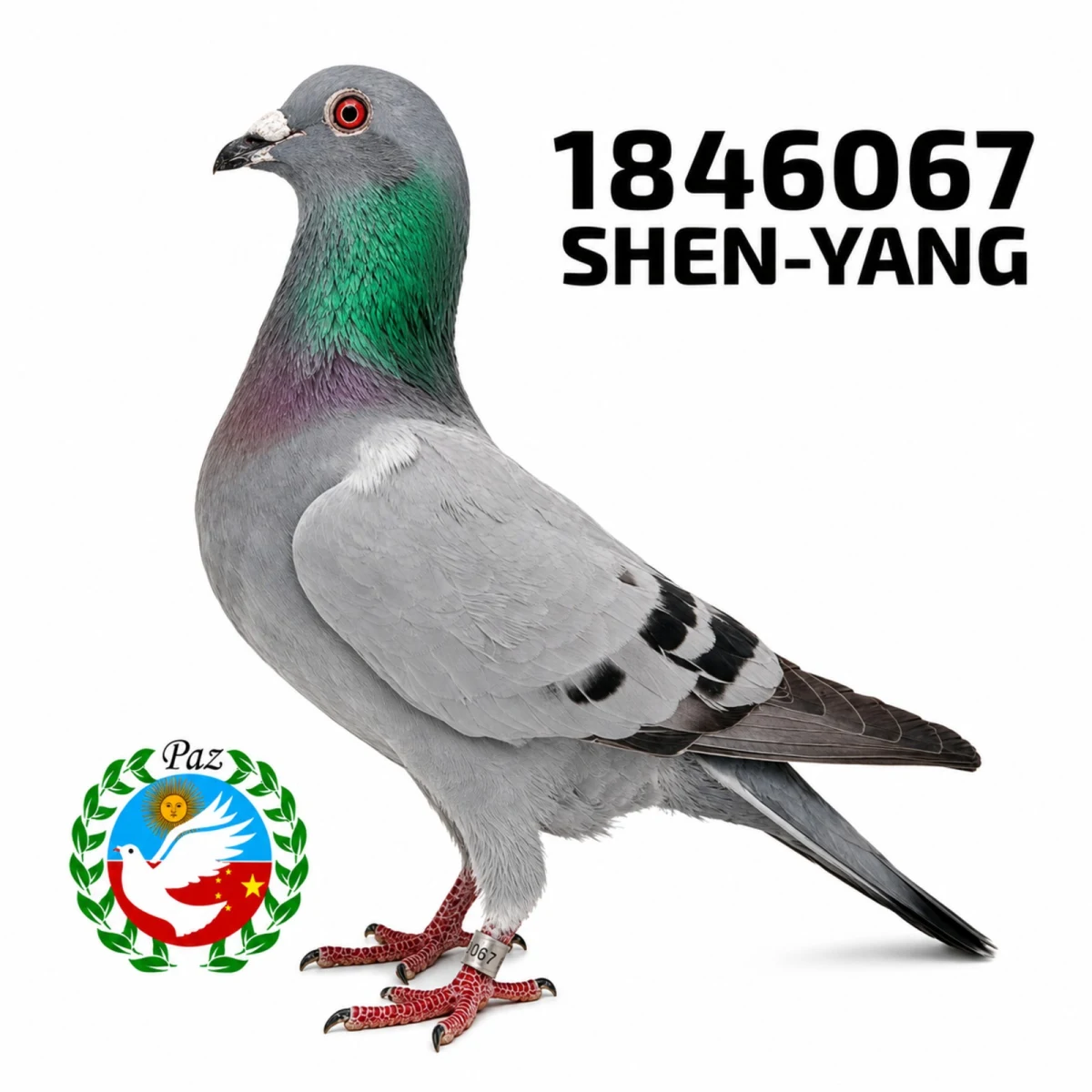 1846067-25 FCA