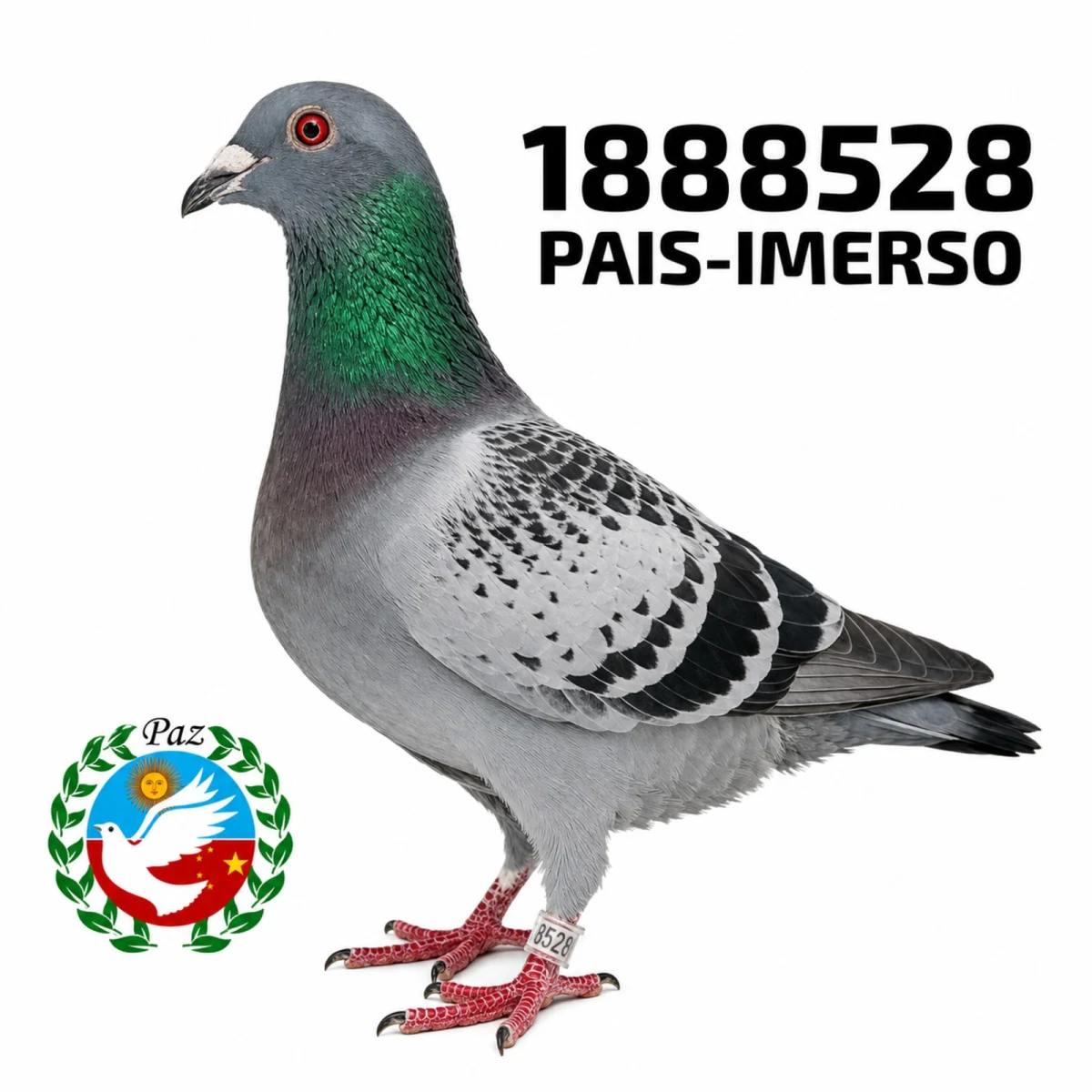 1888528-25 FCA
