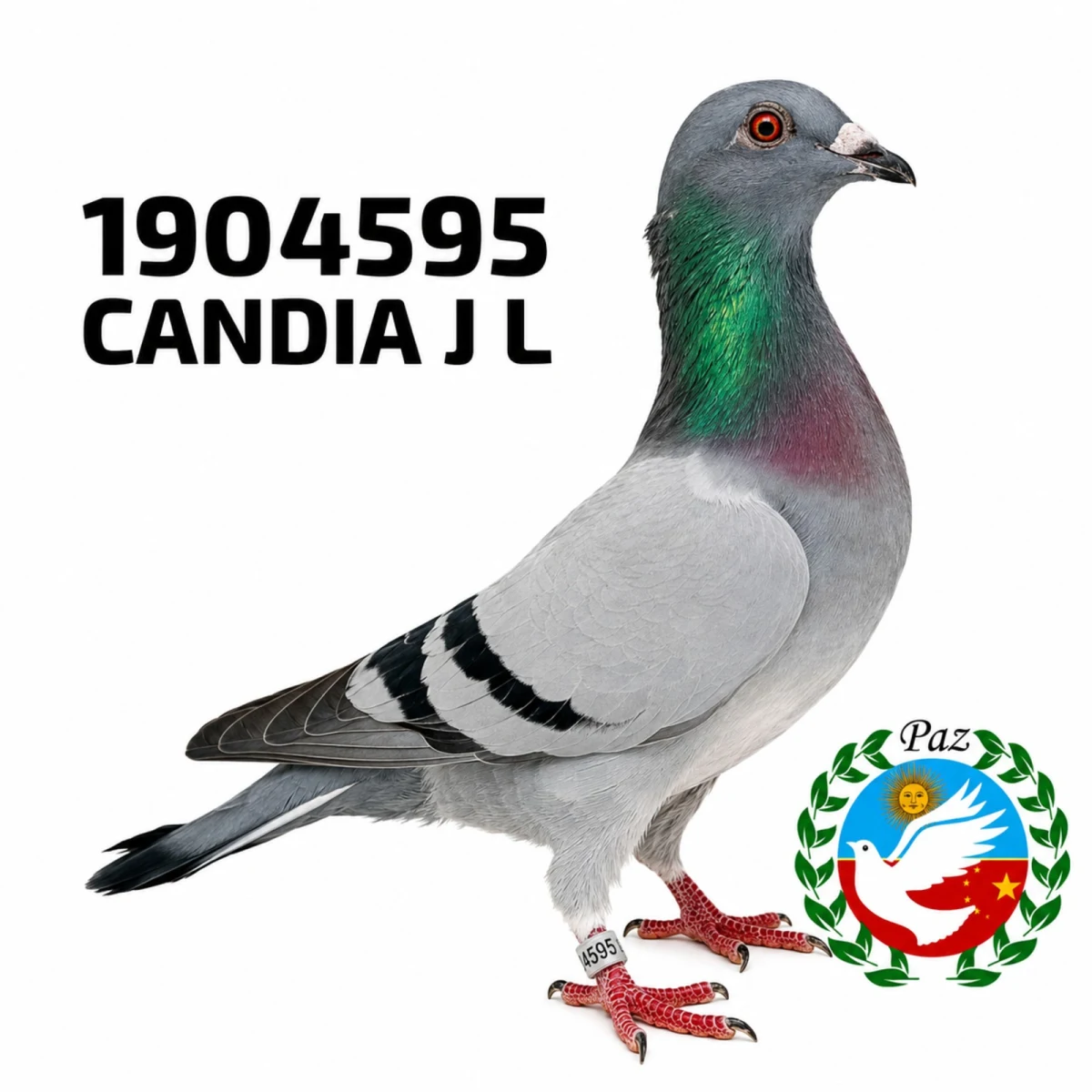1904595-25 FCA