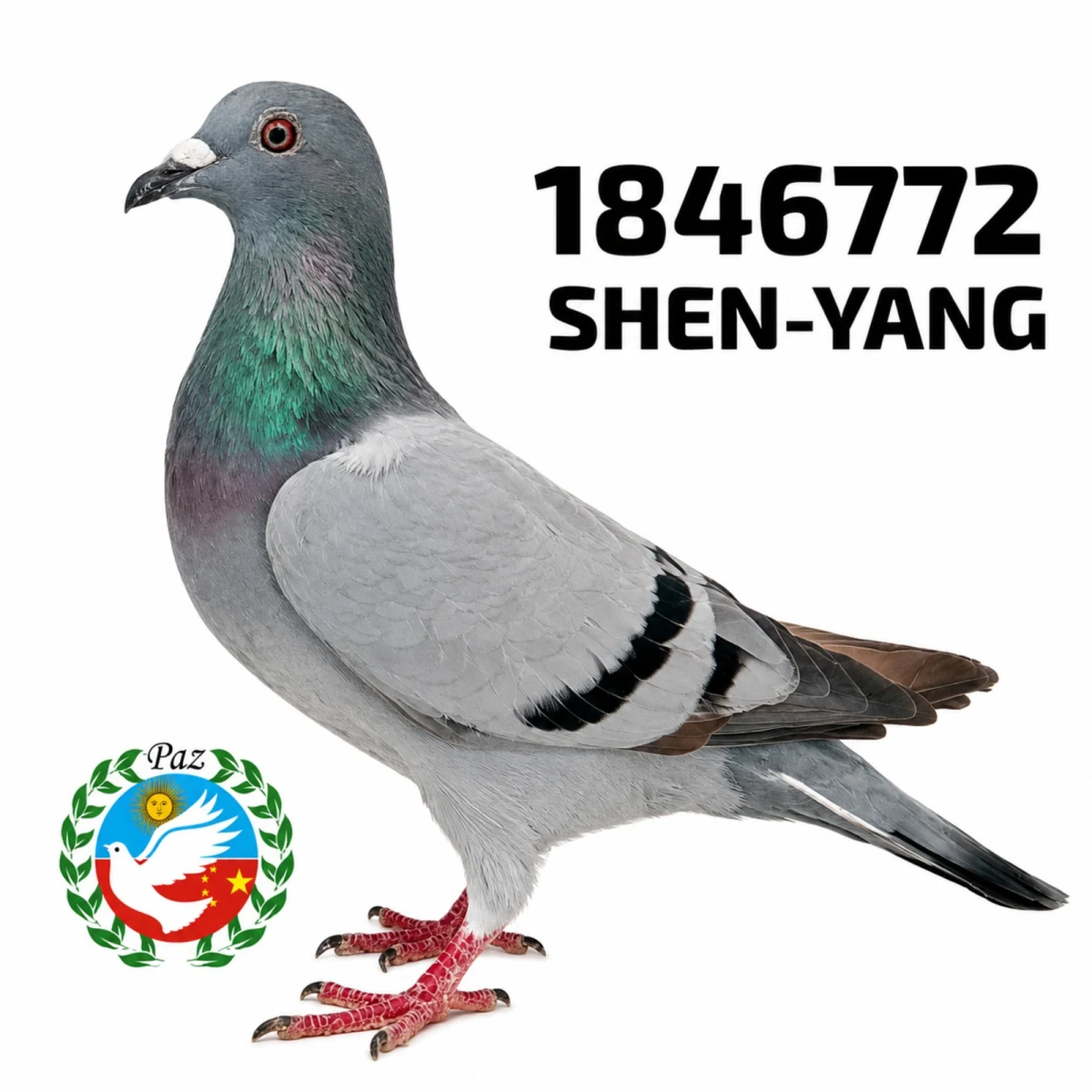 1846772-25 FCA