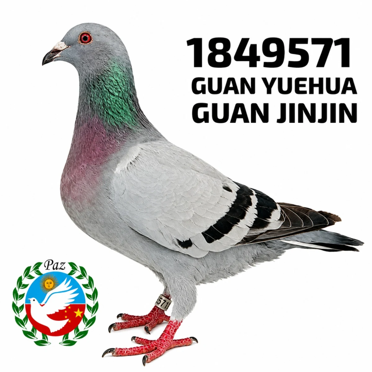 1849571-25 FCA
