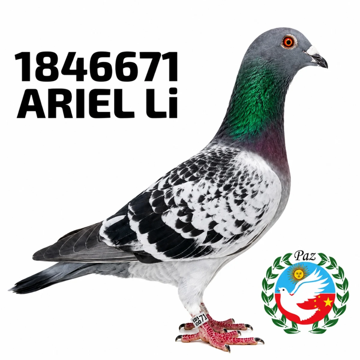 1846671-25 FCA