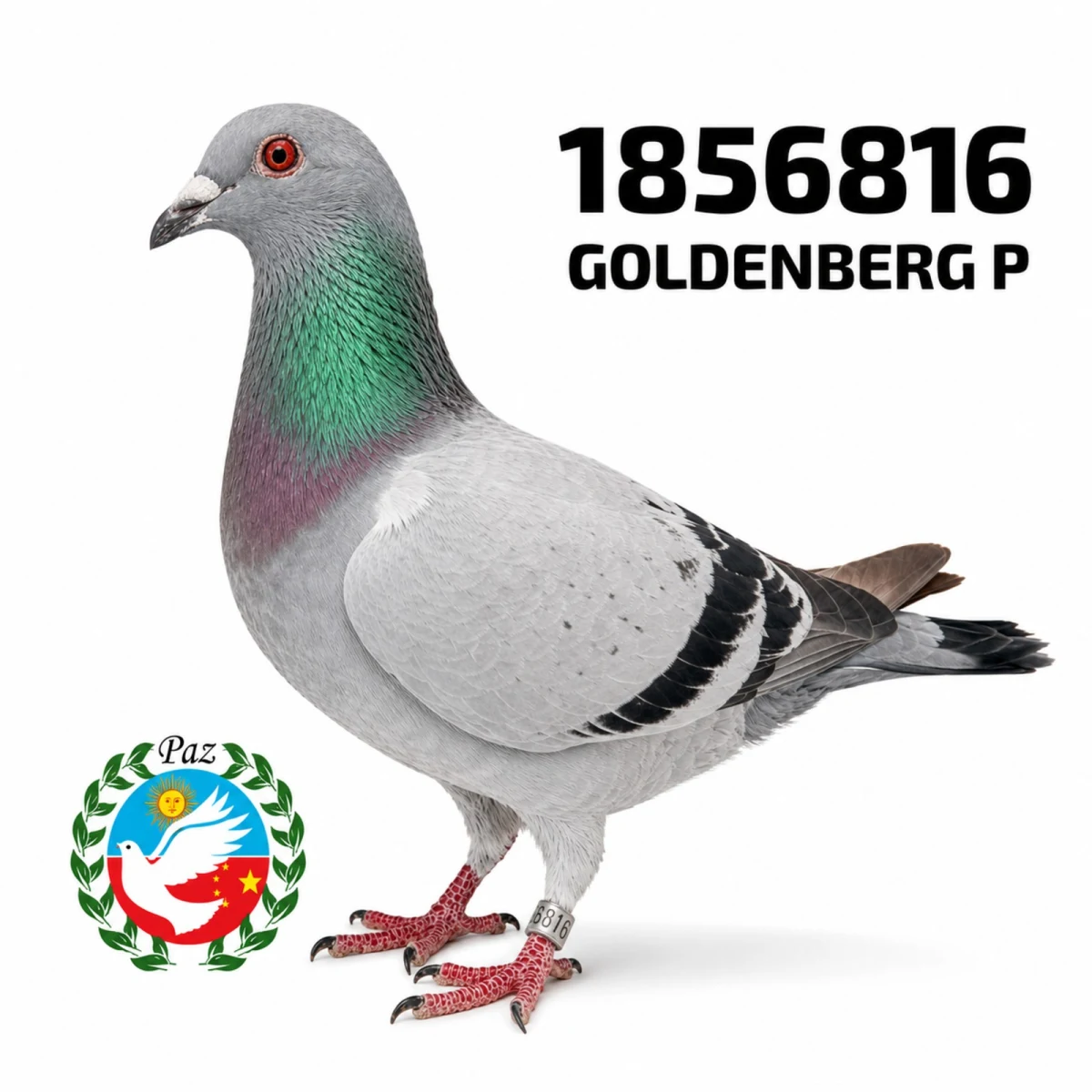 1856816-25 FCA