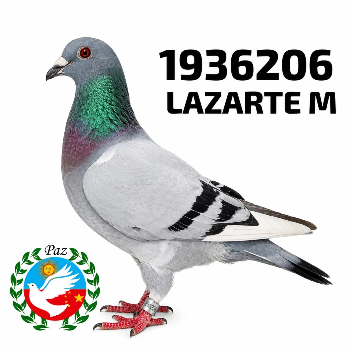 1936206-25 FCA