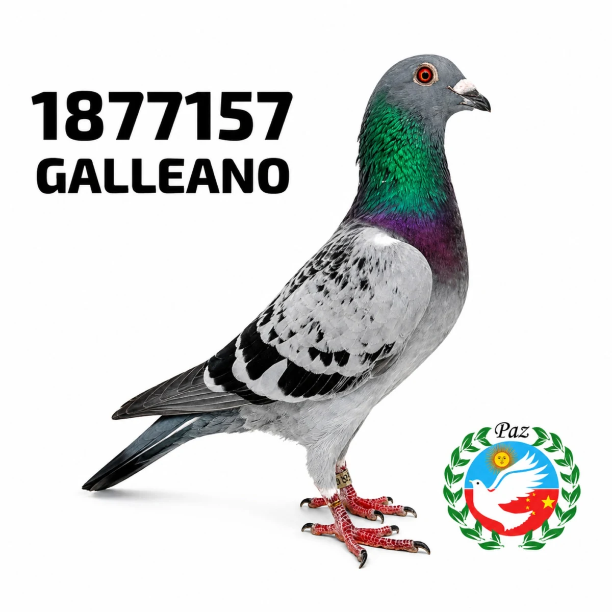 1877157-25 FCA