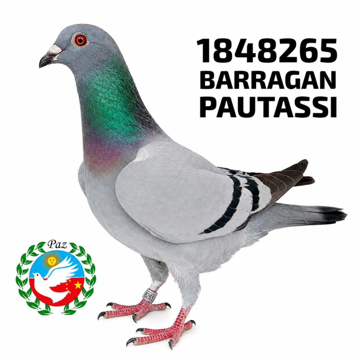 1848265-25 FCA