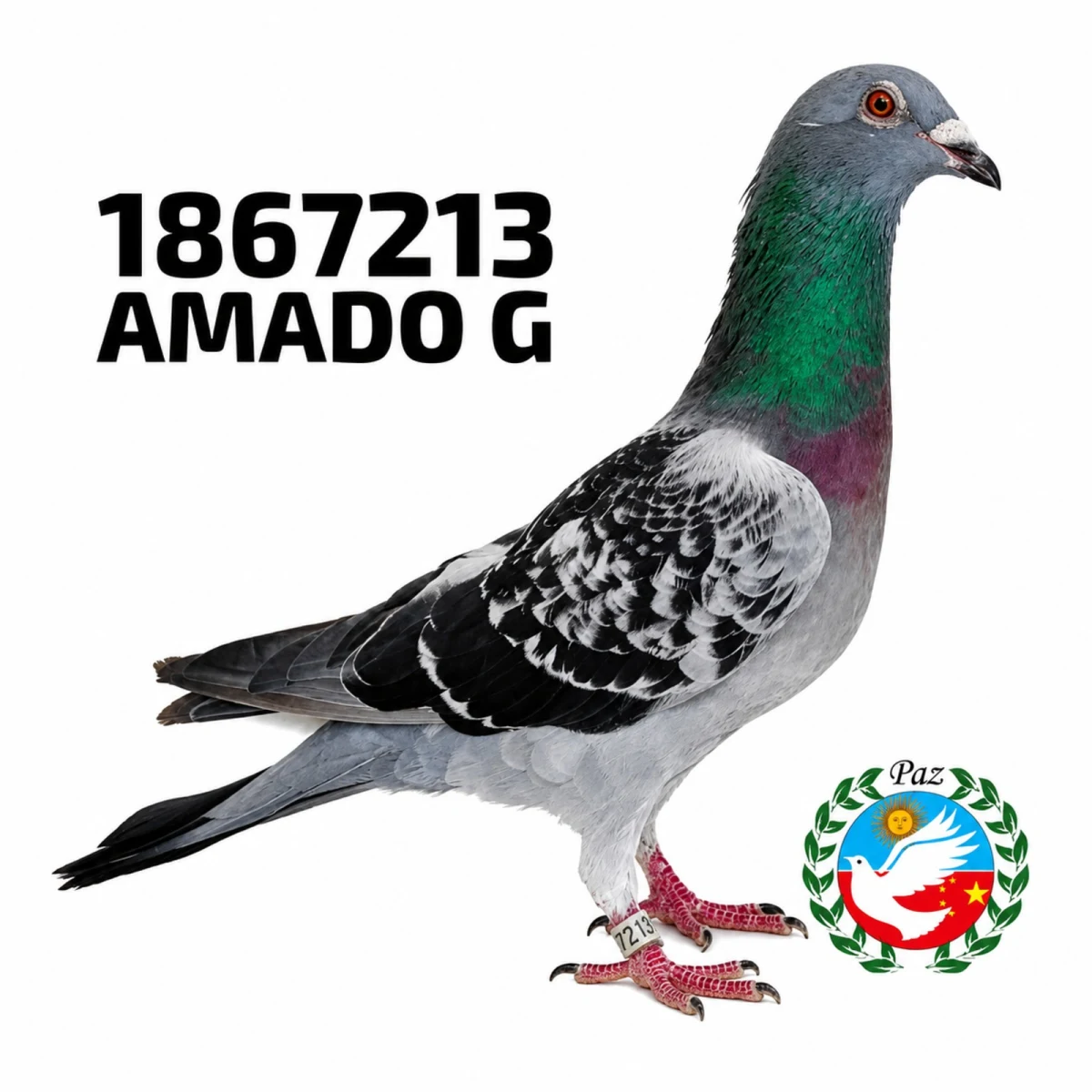 1867213-25 FCA