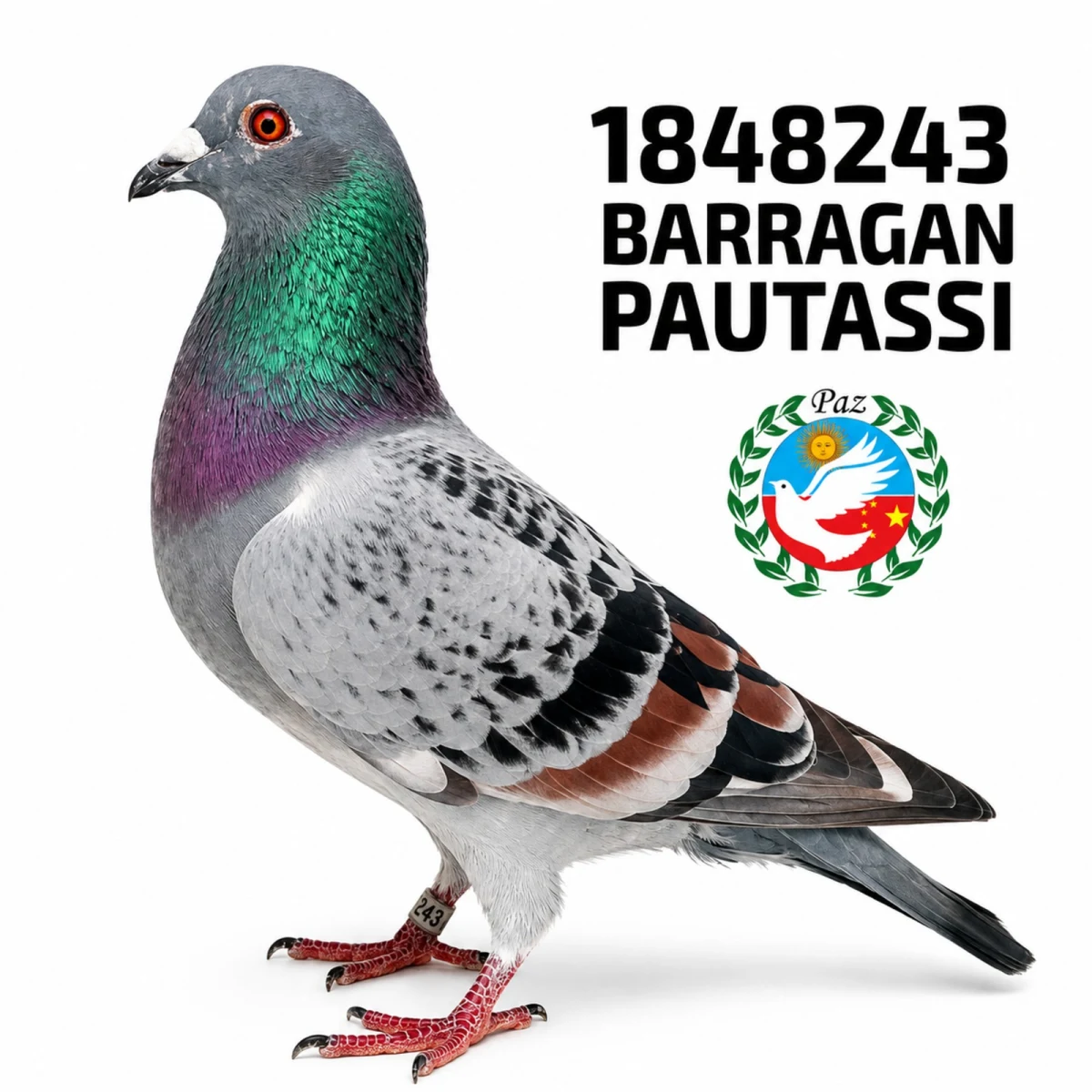 1848243-25 FCA
