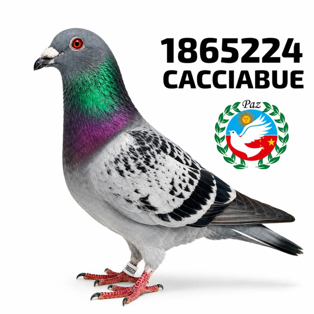 1865224-25 FCA