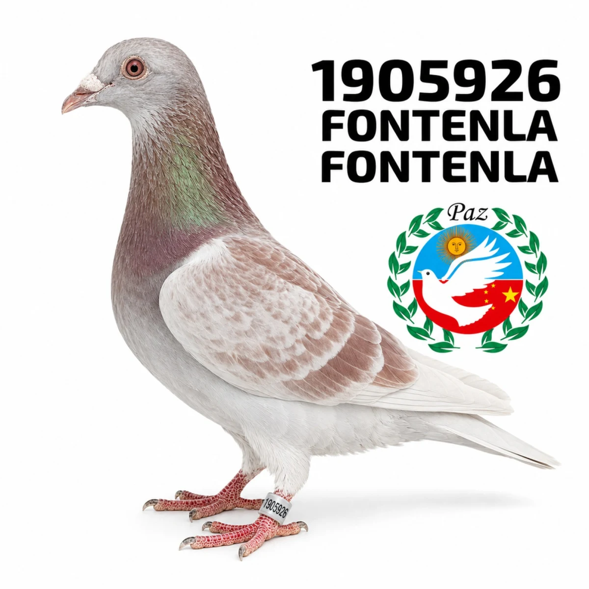 1905926-25 FCA
