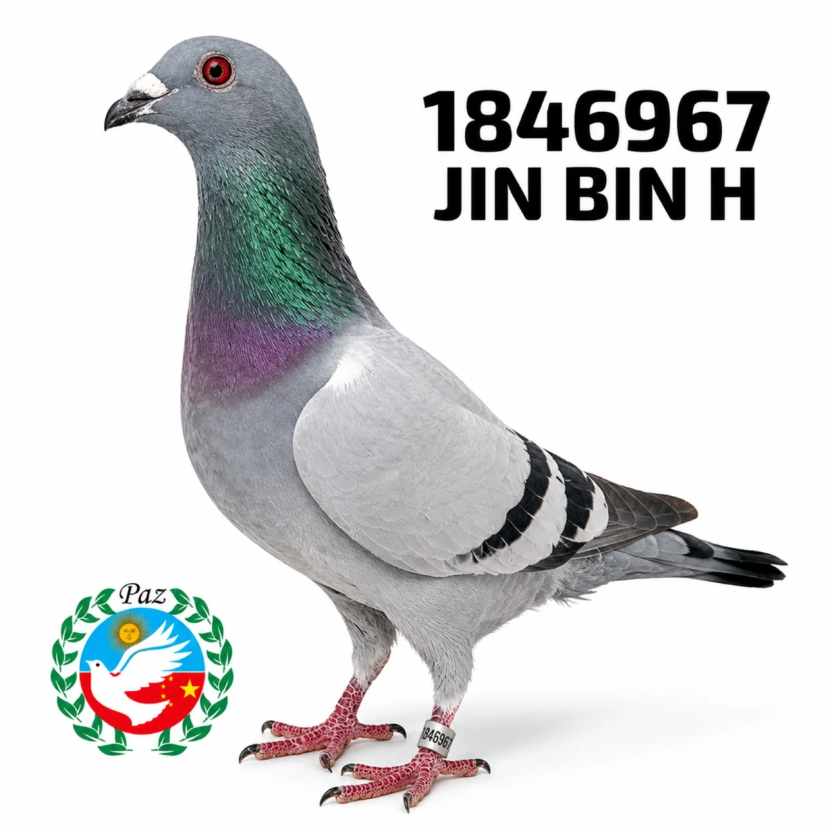 1846967-25 FCA