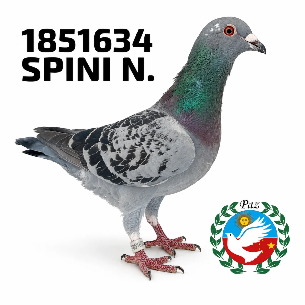 1851634-25 FCA