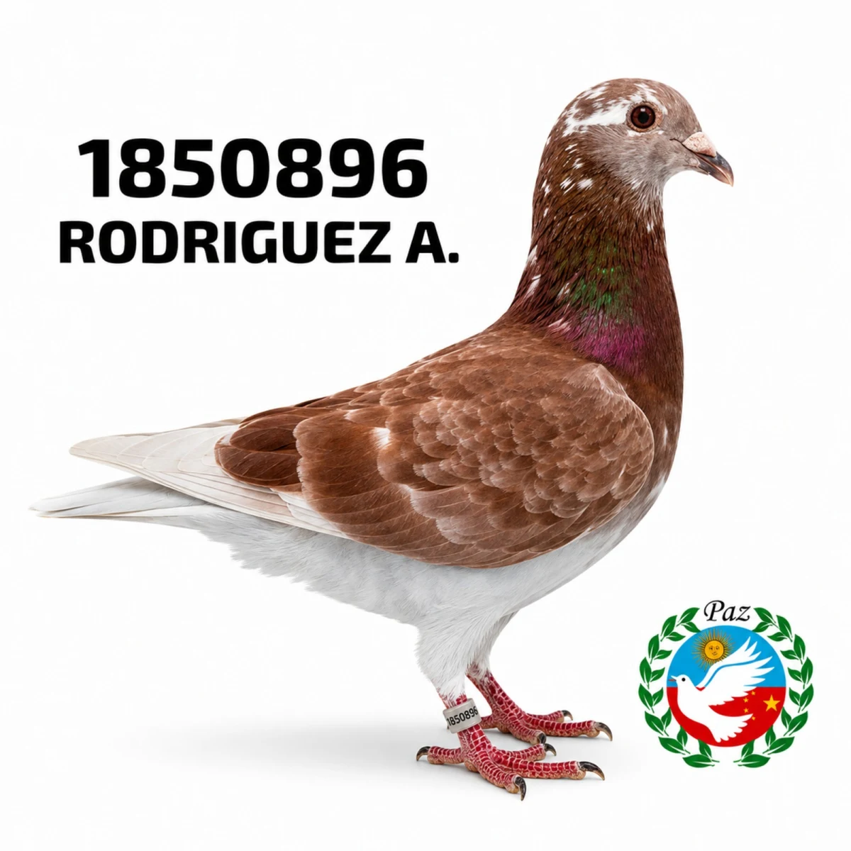 1850896-25 FCA