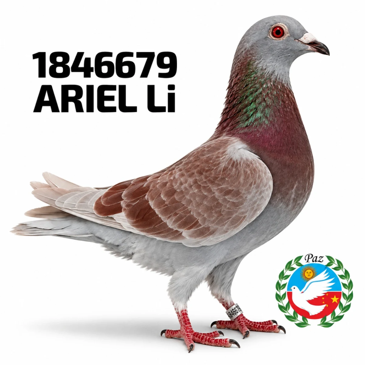 1846679-25 FCA