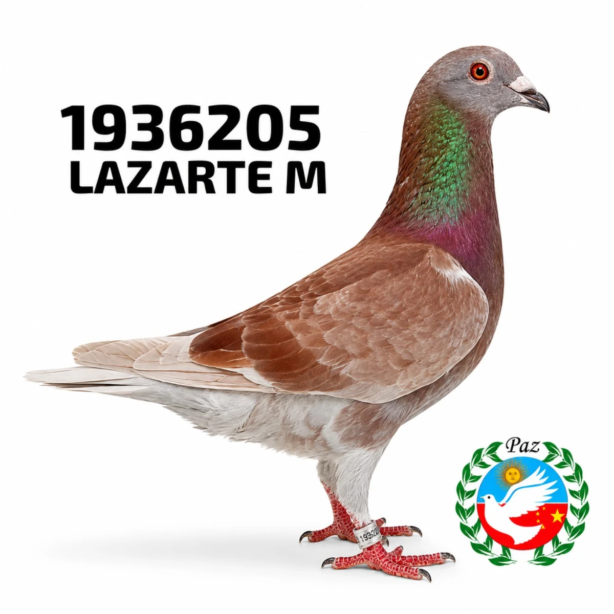 1936205-25 FCA