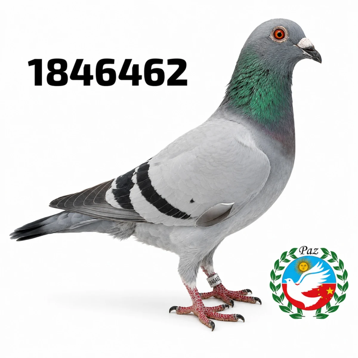 1846462-25 FCA