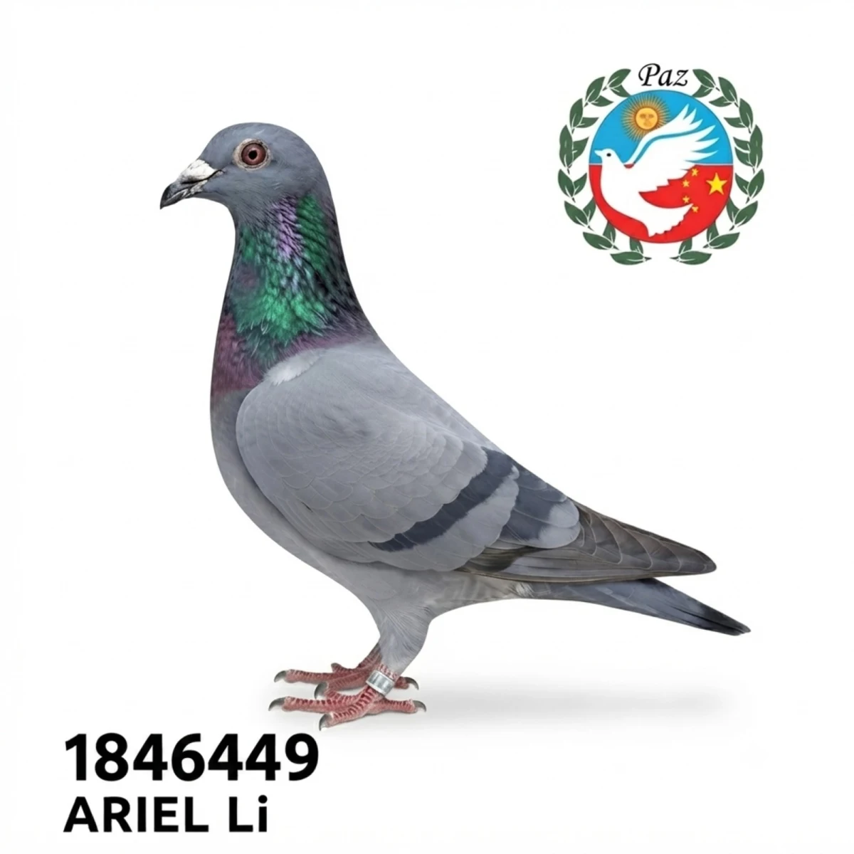 1846449-25 FCA