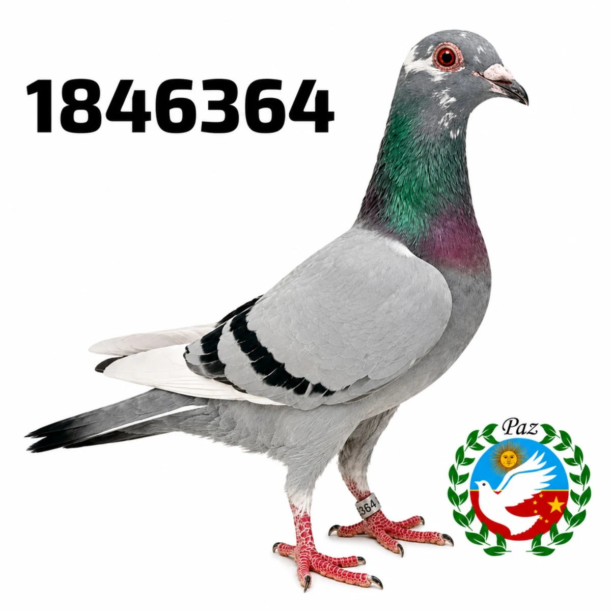 1846364-25 FCA