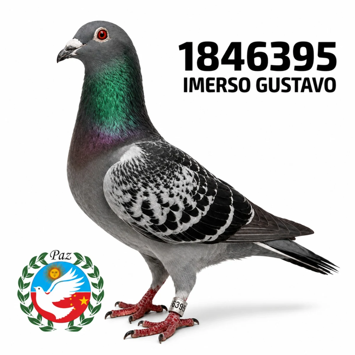 1846395-25 FCA
