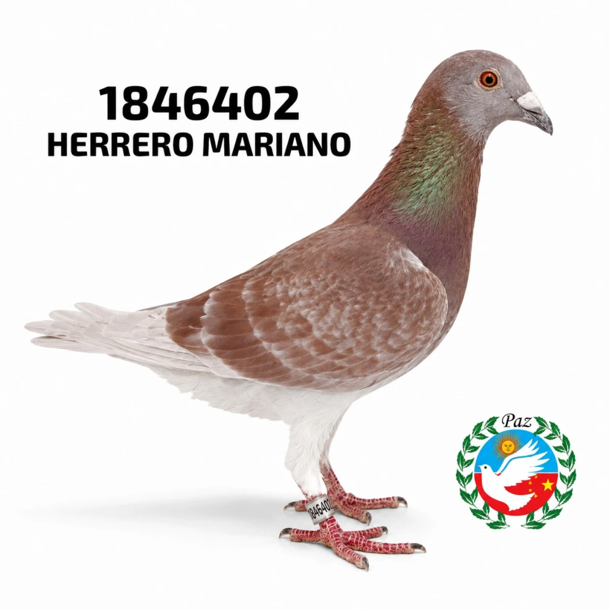 1846402-25 FCA