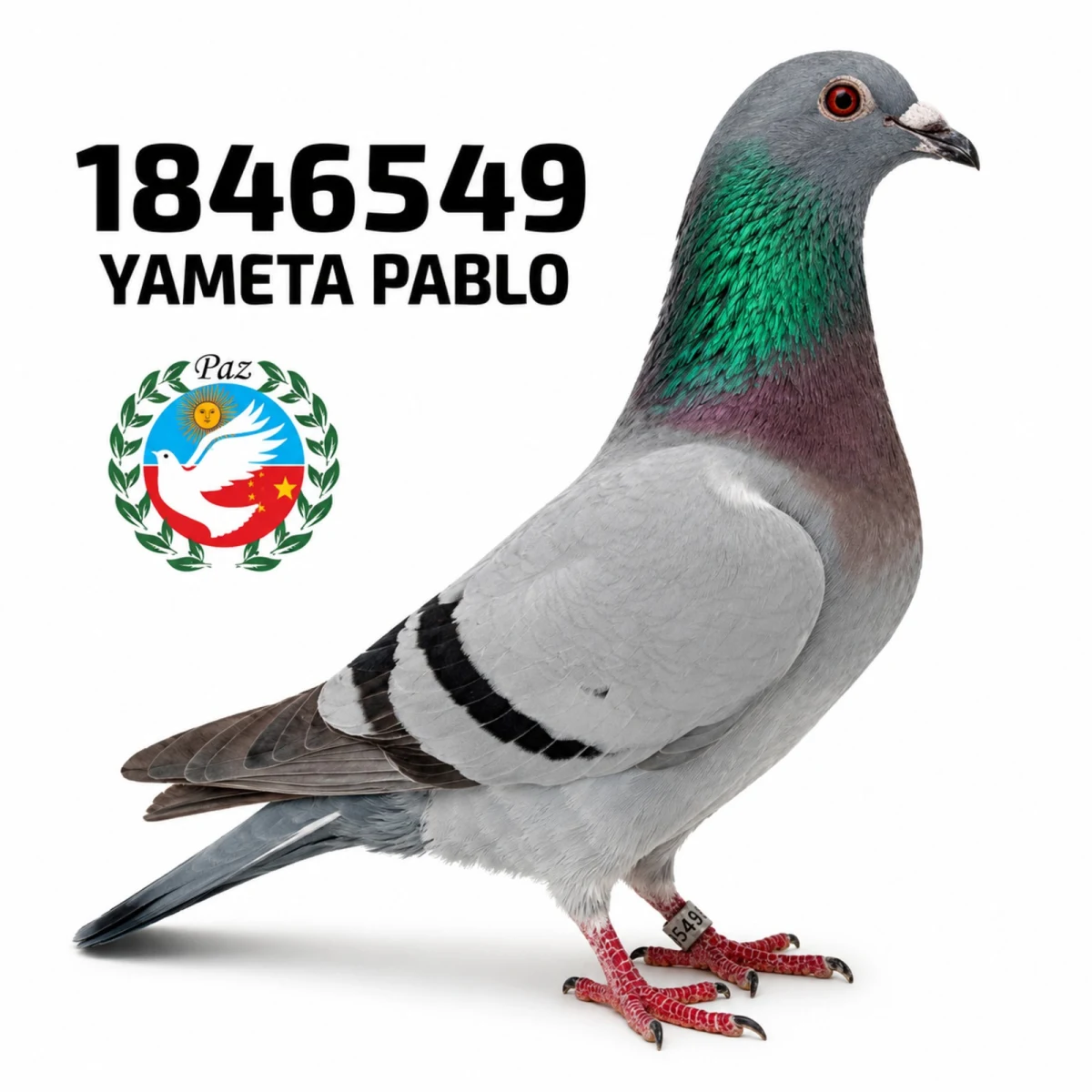 1846549-25 FCA