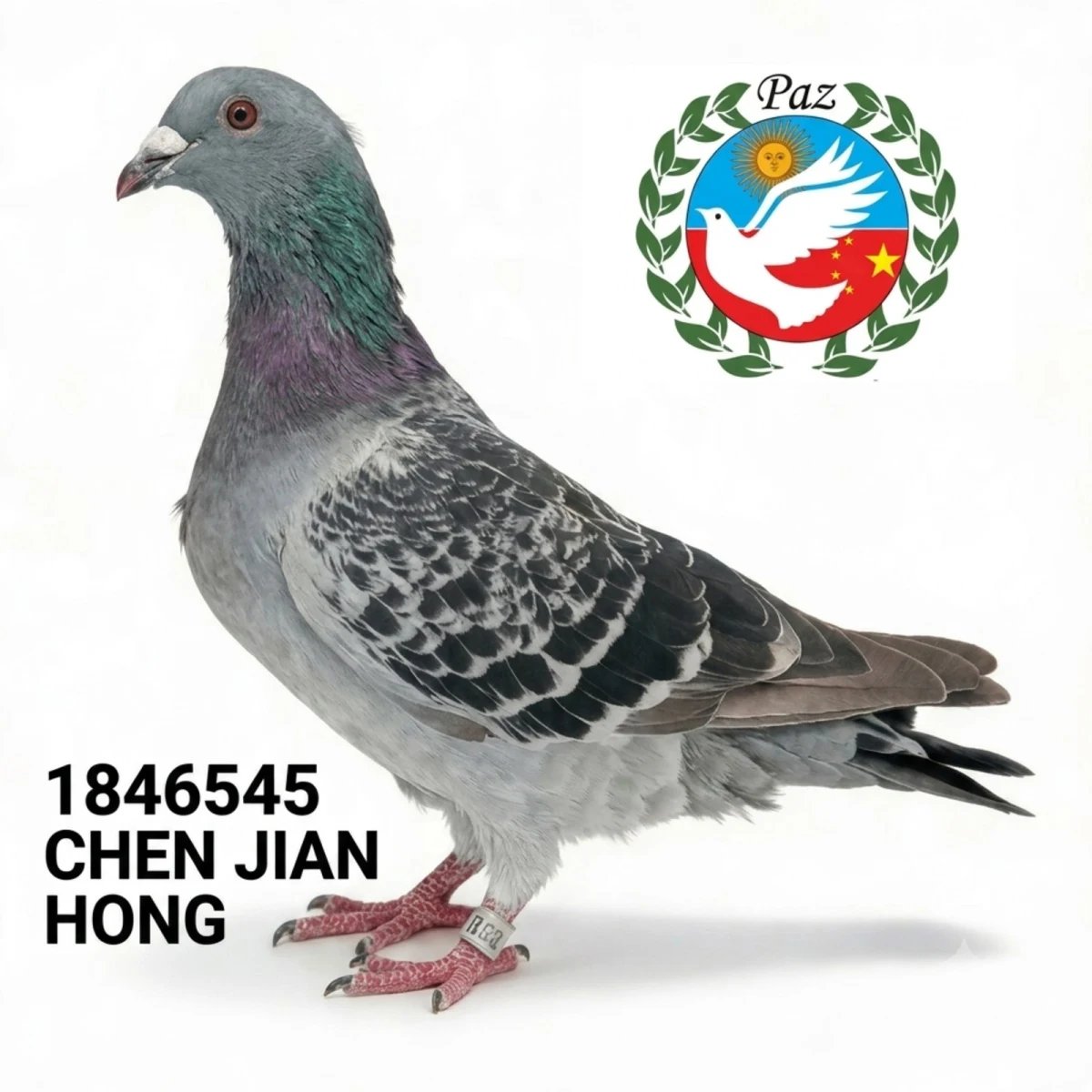 1846545-25 FCA