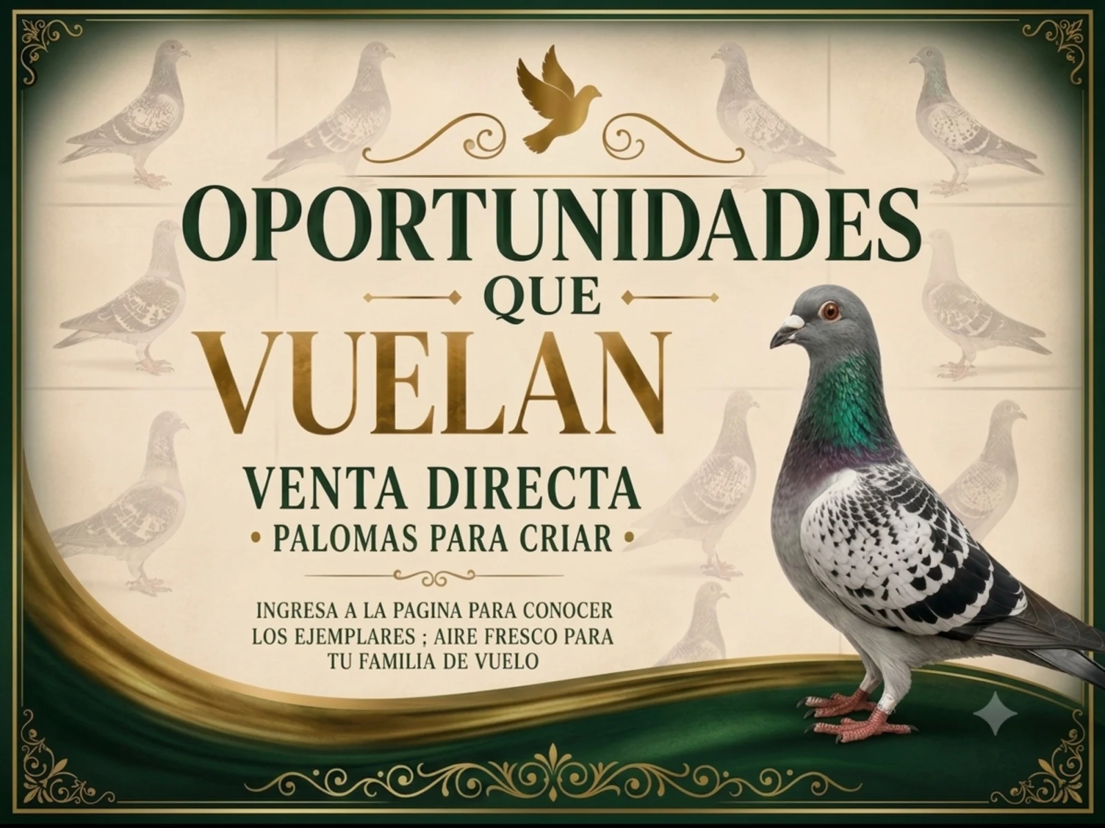 OPORTUNIDADES QUE VUELAN (VENTA DIRECTA)