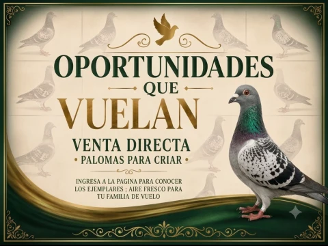OPORTUNIDADES QUE VUELAN (VENTA DIRECTA)