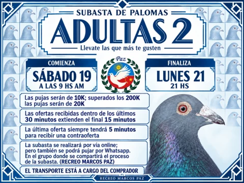 ADULTAS 2
